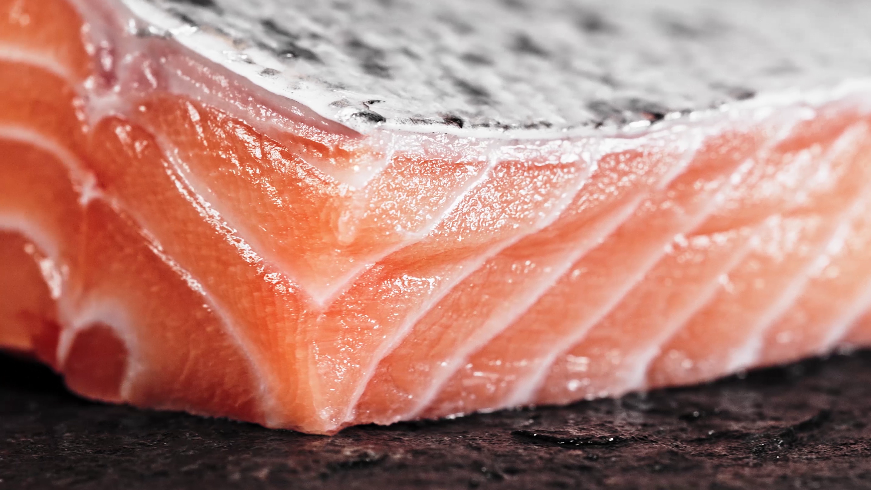 MARINE HARVEST | Rinka - Crafted by nature