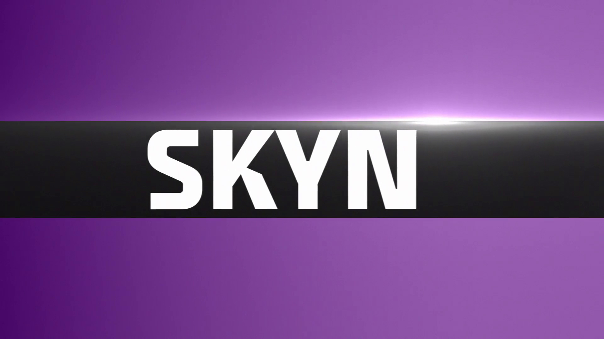 SKYN | Dalastígur 3